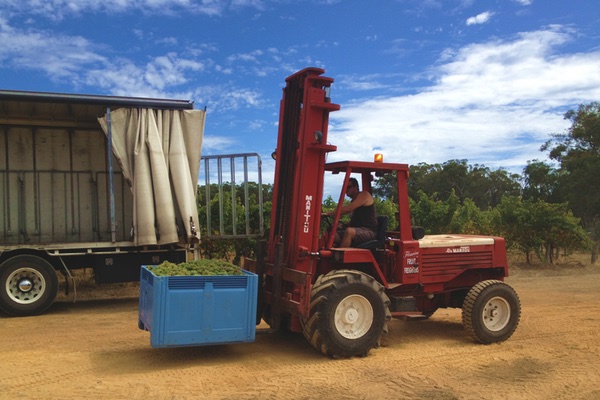 Lovell Forklift Truck Vines